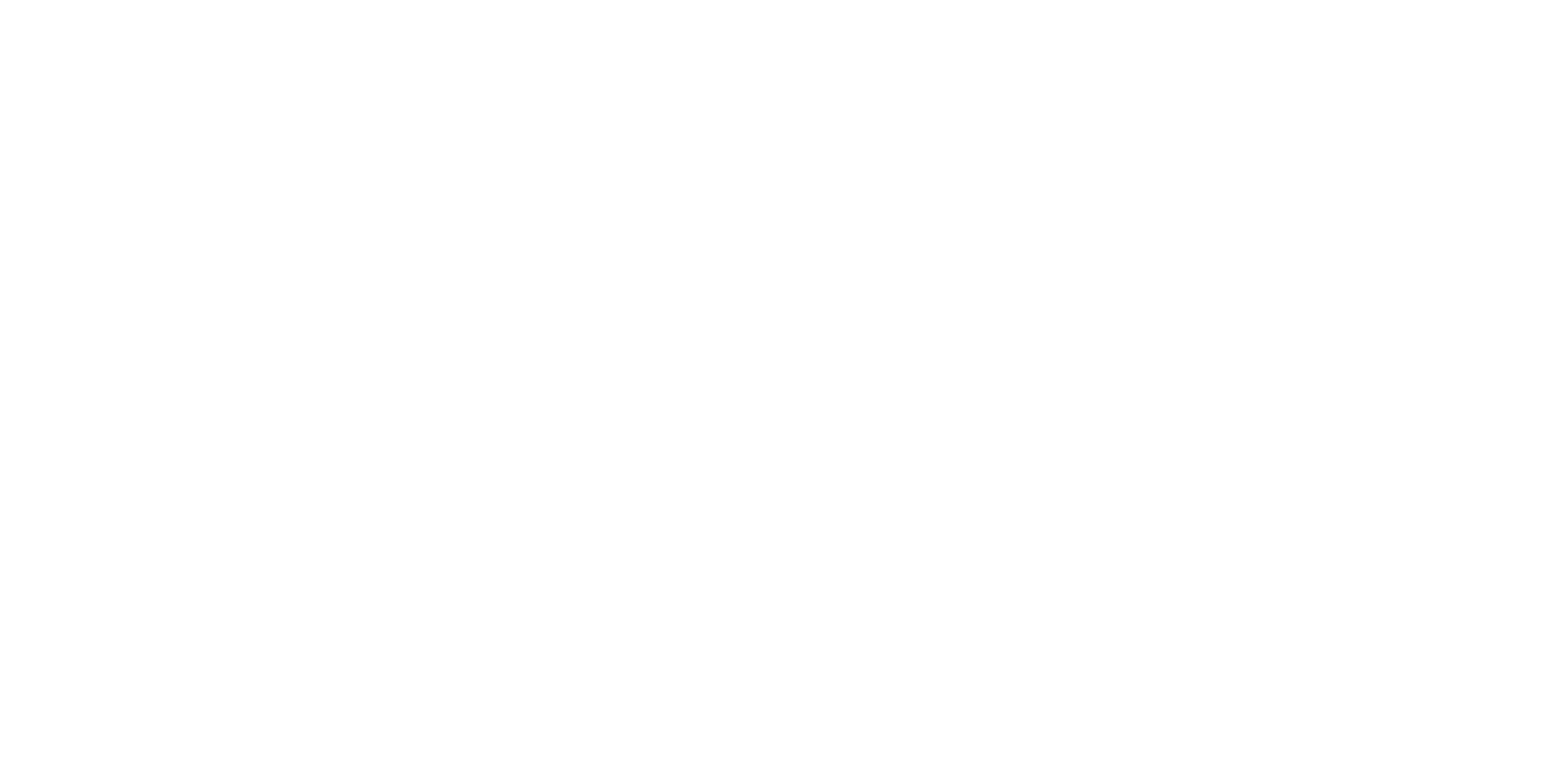 light logo