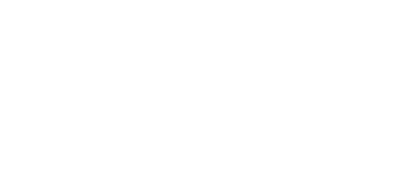 light logo